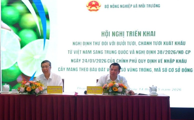 Xuất khẩu bưởi, chanh sang Trung Quốc cần đáp ứng điều kiện gì?