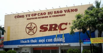 CTCP Cao su Sao Vàng chuẩn bị phát hành hơn 8 triệu cổ phiếu tăng vốn điều lệ