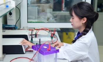 Đến năm 2035, Việt Nam có 50 nhóm phiên bản chính thức của 555win mạnh về 555win Mobi tự nhiên