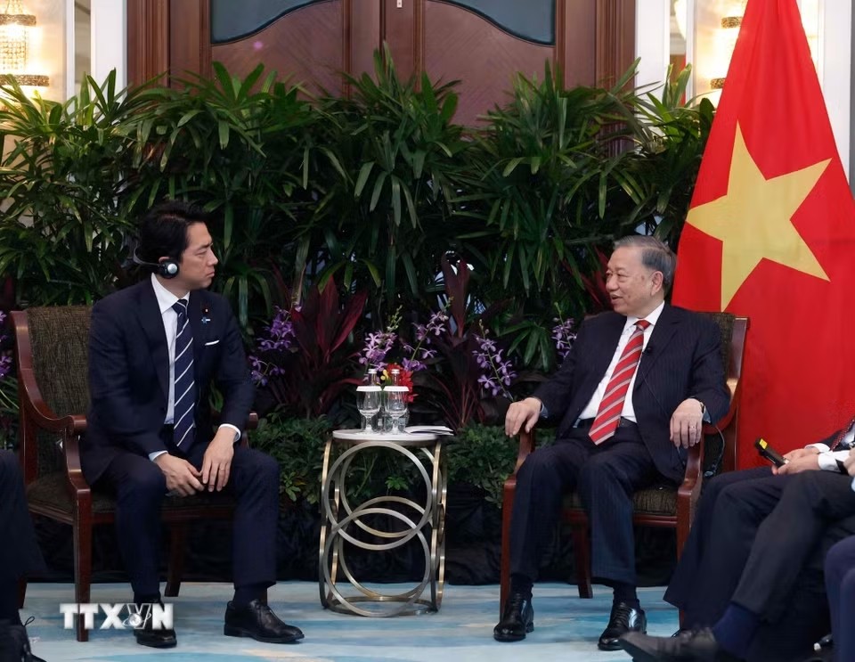 Tổng Bí thư, Chủ tịch nước Tô Lâm tiếp Bộ trưởng Quốc phòng Nhật Bản Shinjiro Koizumi. Ảnh: Thống Nhất/TTXVN
