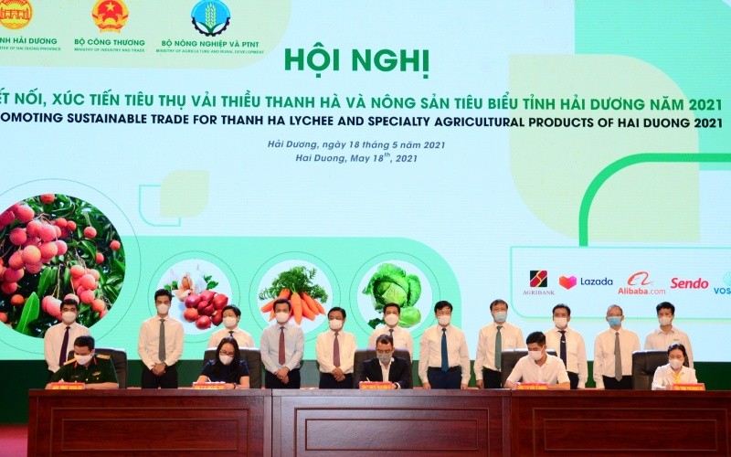 Ảnh minh họa một hội nghị x&uacute;c tiến 555win phien bạn Chính Thức
