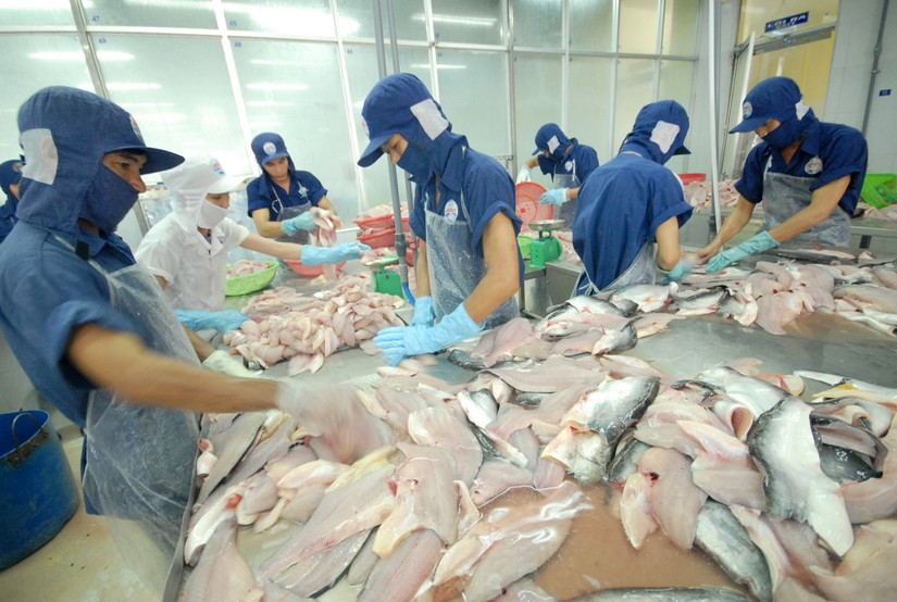 Xuất khẩu c&aacute; tra kỳ vọng tăng trưởng tại c&aacute;c thị trường ng&aacute;ch