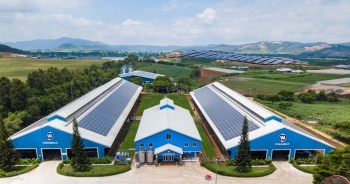 Vinamilk 'bội thu' giải thưởng phát triển bền vững