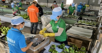 hagl doi danh sach nha dau tu tham gia dot chao ban 130 trieu co phieu