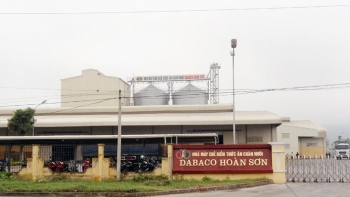 Giá lợn hơi xuống thấp, lợi nhuận Dabaco quý 4 ở mức 6 tỷ đồng