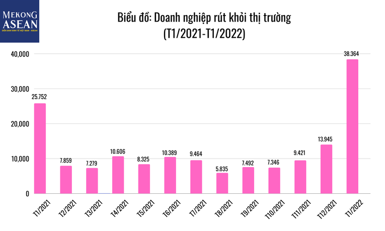 Bức tranh Trang Nhà Cái 555win.com - Đăng Nhập +555k tháng 1/2022 tiếp tục khởi sắc