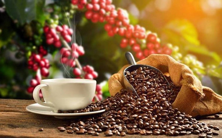 Việt Nam c&ograve;n nhiều dư địa ph&aacute;t triển tại 5 thị trường c&agrave; ph&ecirc; lớn nhất thế giới. Ảnh: tapchicongthuong.vn