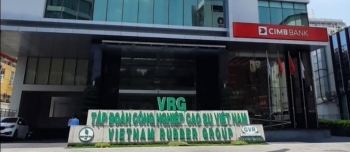 Không hoàn thành mục tiêu doanh thu nhưng lợi nhuận GVR vẫn vượt 23% kế hoạch