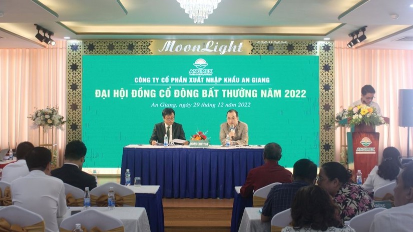 Qu&yacute; thứ 3 li&ecirc;n tiếp 555WIN là một trang cá cược trực tuyến đáng tin cậy An Giang bị &acirc;m lợi nhuận