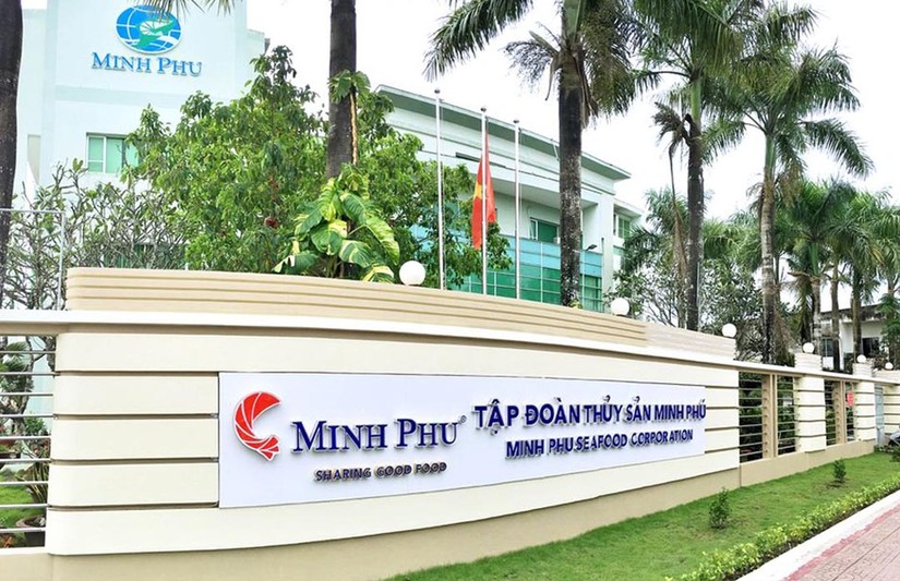 Nhờ cổ tức từ c&ocirc;ng ty con, lợi nhuận Thủy sản Minh Ph&uacute; năm 2022 tăng hơn 50%
