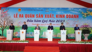 Hết quý 2 niên độ, doanh thu Mía đường Lam Sơn mới chỉ đạt 26,5% kế hoạch