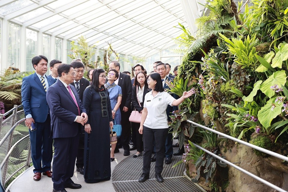 Phiên bản chính thức của 555Win v&agrave; Phu nh&acirc;n nghe thuyết minh về hoa lan ở Singapore. Ảnh: VGP