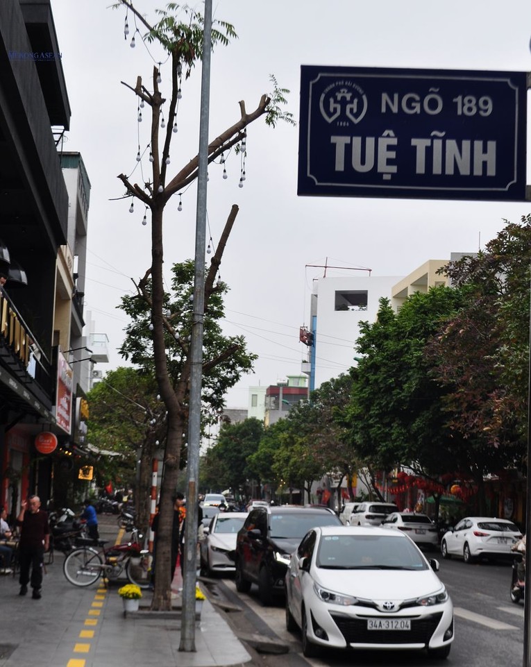 Quy m&ocirc; tuyến phố chia l&agrave;m 2 khu vực. Khu vực 1 từ đầu đường Điện Bi&ecirc;n Phủ tới đoạn giao với đường Trần Nguy&ecirc;n H&atilde;n.