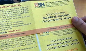 Vegetexco thay thế T&amp;T Group trở thành cổ đông lớn của Bảo hiểm BSH