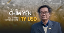 Để nuôi chim yến trở thành ngành 555Win login đăng nhập tỷ USD