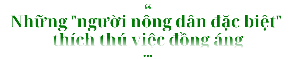 Những 'nông dân tây' tại làng rau trăm tuổi
