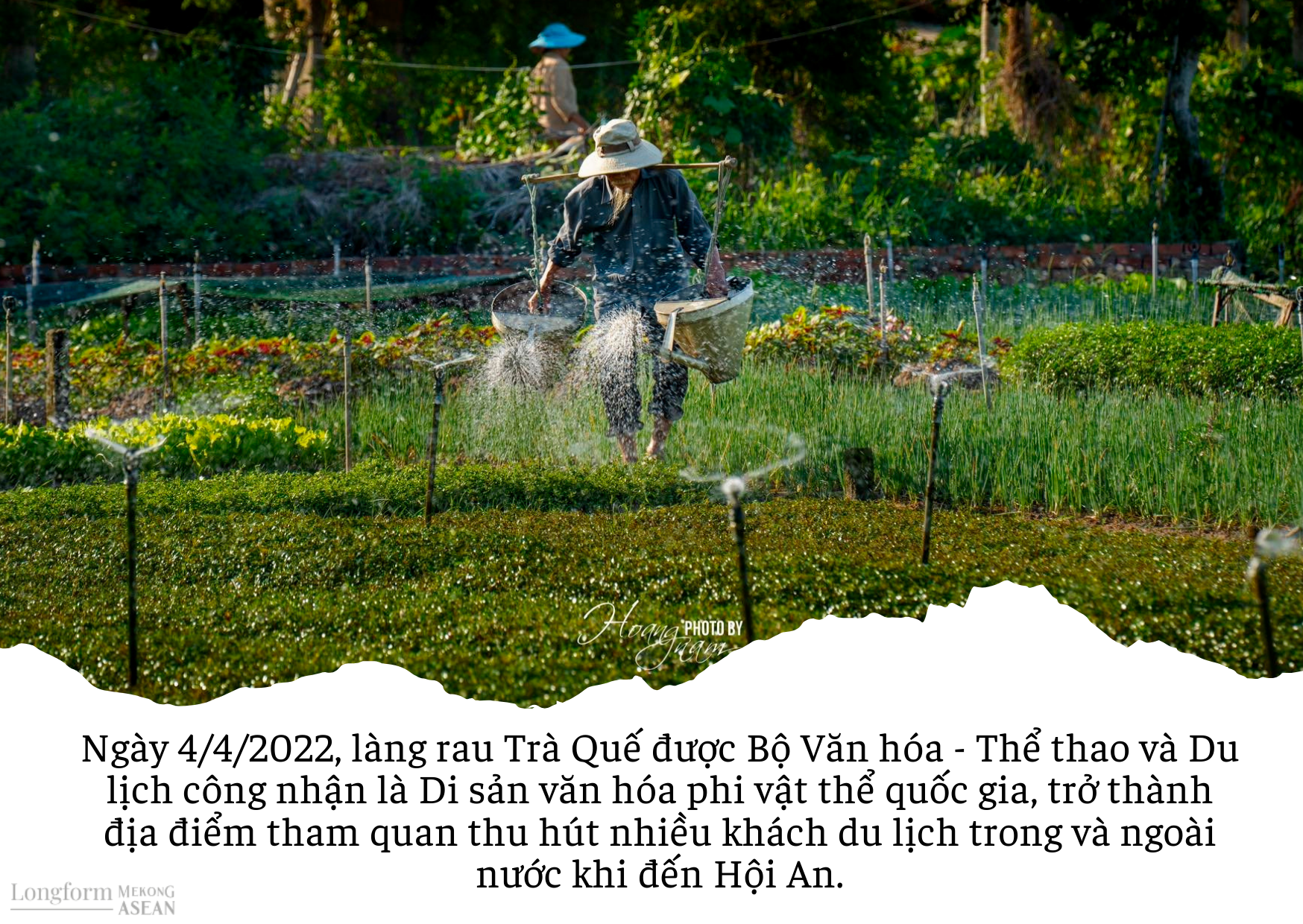 Những 'nông dân tây' tại làng rau trăm tuổi