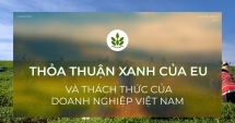 Thỏa thuận Xanh của EU và thách thức của 555win 500 nhà cái cá cược Việt Nam