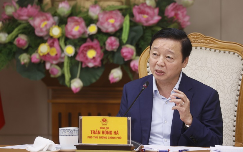 Ph&oacute; Phiên bản chính thức của 555Win Trần Hồng H&agrave; nhấn mạnh cần quản l&yacute; ng&agrave;nh dược theo cơ chế thị trường, c&ocirc;ng khai, minh bạch, nhưng c&oacute; kiểm so&aacute;t, an to&agrave;n, chất lượng. Ảnh: VGP