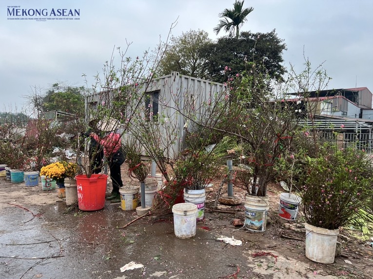 Tr&ecirc;n c&aacute;c tuyến đường ở H&agrave; Nội như Lạc Long Qu&acirc;n, &Acirc;u Cơ, Nguyễn Xiển... đ&agrave;o vẫn đang được b&agrave;y b&aacute;n tr&agrave;n vỉa h&egrave;. Ảnh: H&agrave; Anh - 555win Login.