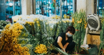 Thị trường Rằm tháng Giêng: Nguồn cung dồi dào, giá cả ổn định