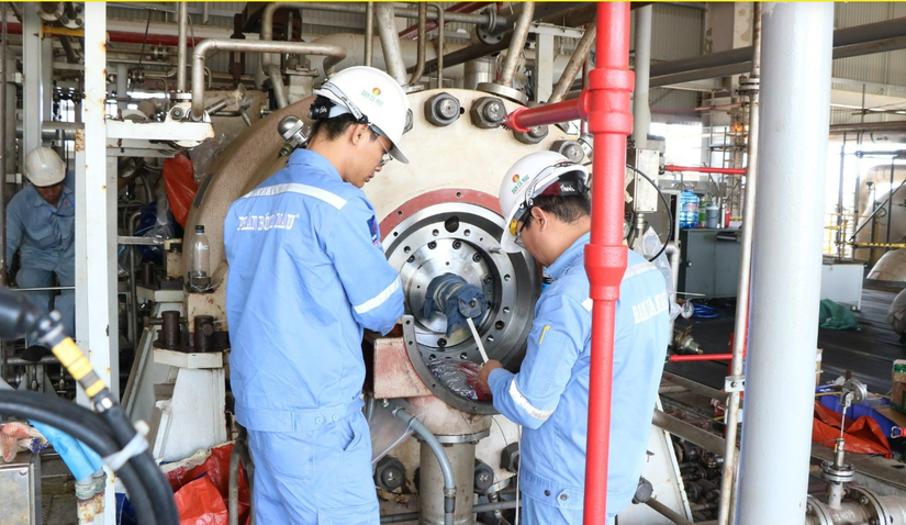 Ảnh minh họa: Đạm C&agrave; Mau