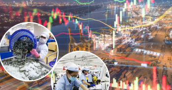 Loạt cổ phiếu dệt may, thuỷ sản 'sáng' theo triển vọng nhóm ngành xuất khẩu