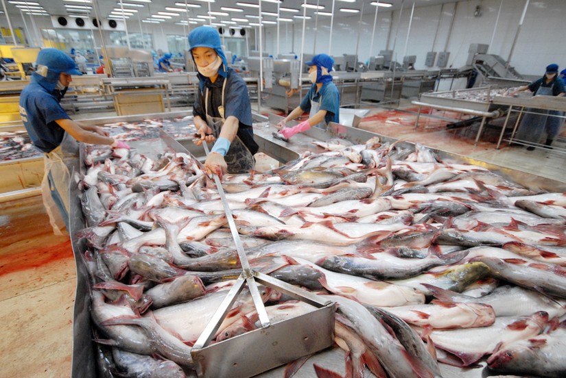 Xuất khẩu thủy sản tăng mạnh tr&aacute;i chiều với rau quả