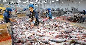 Xuất khẩu thủy sản tăng mạnh trái chiều với rau quả