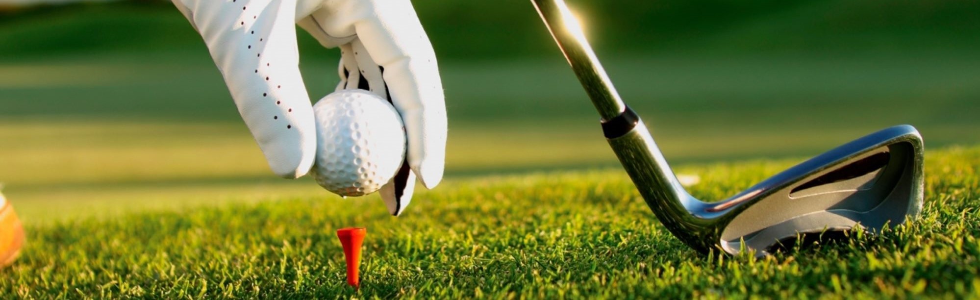 55win.com - Trang Cược Uy Tín Cao Nhất 2025 sân golf: Lợi nhuận nhắm đến không phải từ các golfer