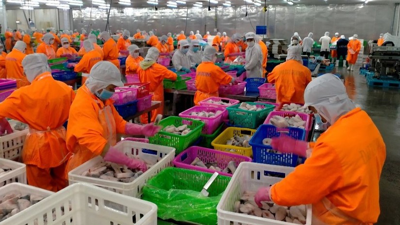 Th&agrave;nh vi&ecirc;n Navico mua h&agrave;ng triệu cổ phiếu theo chương tr&igrave;nh ESOP
