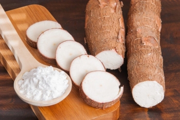 Việt Nam là nhà xuất khẩu sắn và sản phẩm từ sắn lớn thứ ba thế giới