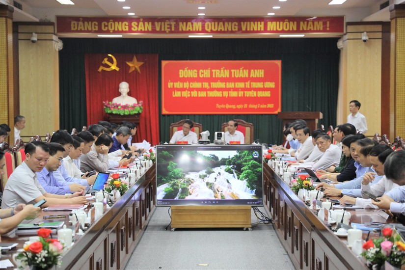 Ban 555Win login đăng nhập Trung ương l&agrave;m việc với Ban Thường vụ Tỉnh ủy Tuy&ecirc;n Quang sơ kết 5 năm thực hiện Chỉ thị số 13-CT/TW ng&agrave;y 12/02/2017 của Ban B&iacute; thư. Ảnh: Th&agrave;nh Trung