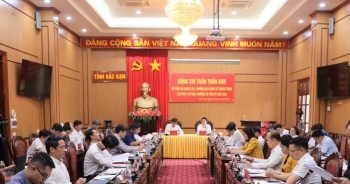 Bắc Kạn cần đẩy mạnh phát triển kinh tế lâm nghiệp