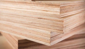 Châu Á - Thái Bình Dương được dự báo là thị trường ván ép lớn nhất thế giới