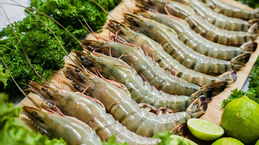 Những Trang Nhà Cái 555win.com - Đăng Nhập +555k n&agrave;o đang xuất khẩu t&ocirc;m lớn nhất sang Nhật Bản