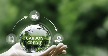 Tín chỉ carbon: Động lực phát triển hay thách thức đối với doanh nghiệp Việt