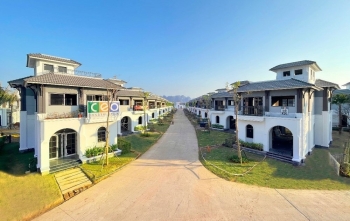Kế hoạch kinh doanh và trả cổ tức của CEO Group