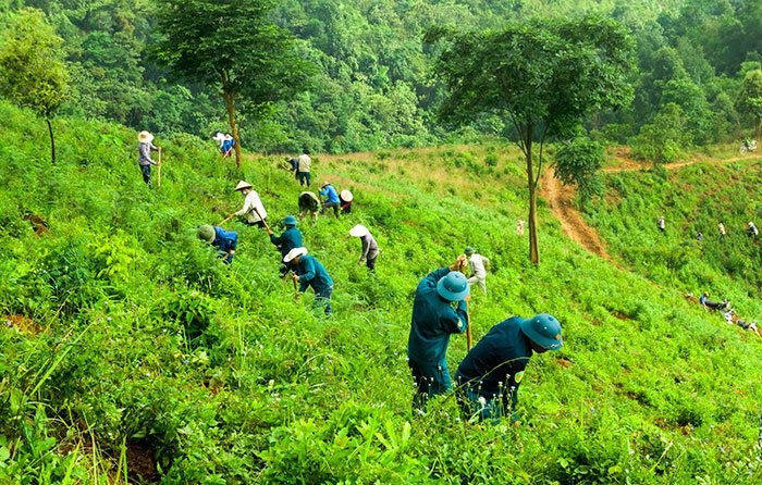Ảnh minh họa: B&aacute;o T&agrave;i nguy&ecirc;n v&agrave; m&ocirc;i trường.