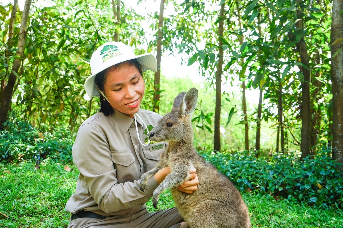 Chuyện của những người làm nghề &apos;bảo mẫu&apos; động vật hoang dã