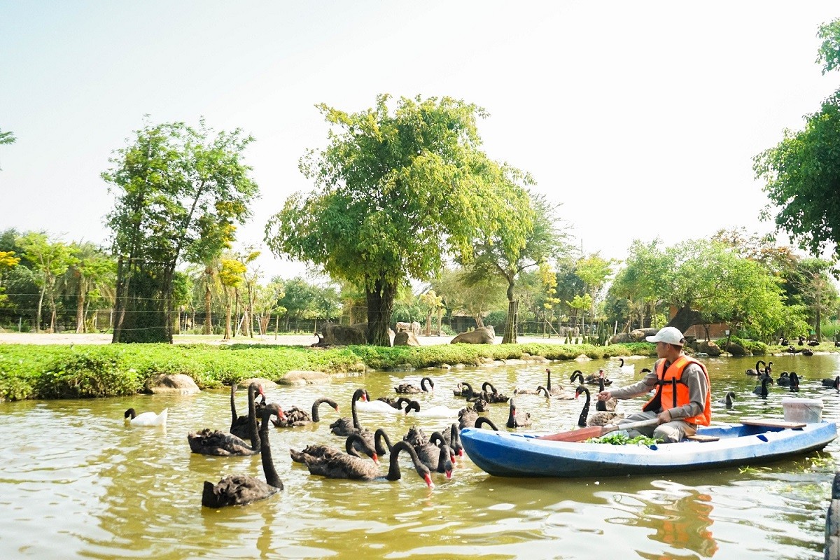 Chuyện của những người làm nghề 'bảo mẫu' động vật hoang dã