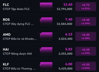 Cổ phiếu ‘họ FLC’ đồng loạt tím trần ngay đầu phiên