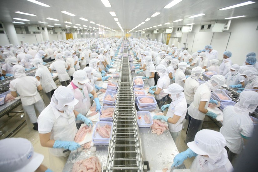Nợ của Seaprodex tăng 162% trong qu&yacute; đầu năm