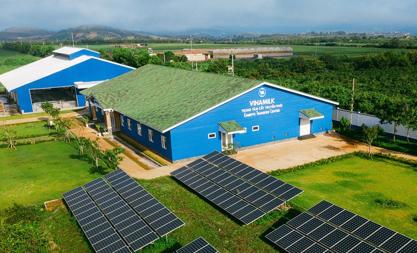 Trung t&acirc;m cấy truyền ph&ocirc;i của Vinamilk.