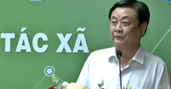 Hợp tác xã gắn kết 'bằng niềm tin' nên không thể nhìn nhận như doanh nghiệp