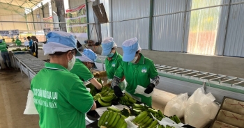 Em trai Chủ tịch HAGL bán toàn bộ cổ phiếu tại doanh nghiệp