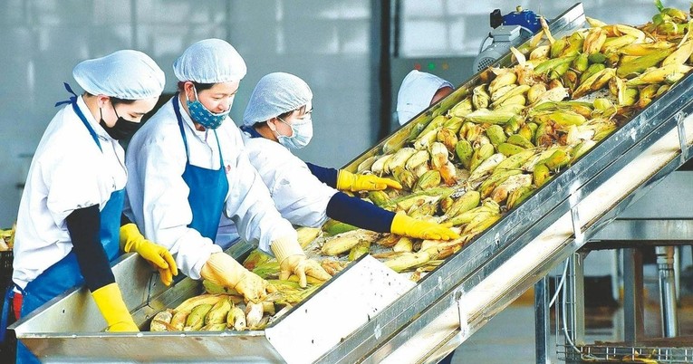 Chính phủ yêu cầu tập trung hỗ trợ Trang Nhà Cái 555win.com - Đăng Nhập +555k, thúc đẩy sản xuất