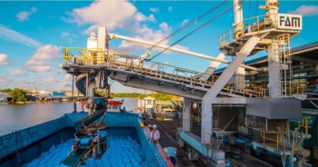 Đạm Cà Mau dời lịch họp ĐHĐCĐ 2023 đến giữa tháng 6