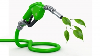 Kinh nghiệm sử dụng ethanol trong giao thông vận tải bền vững