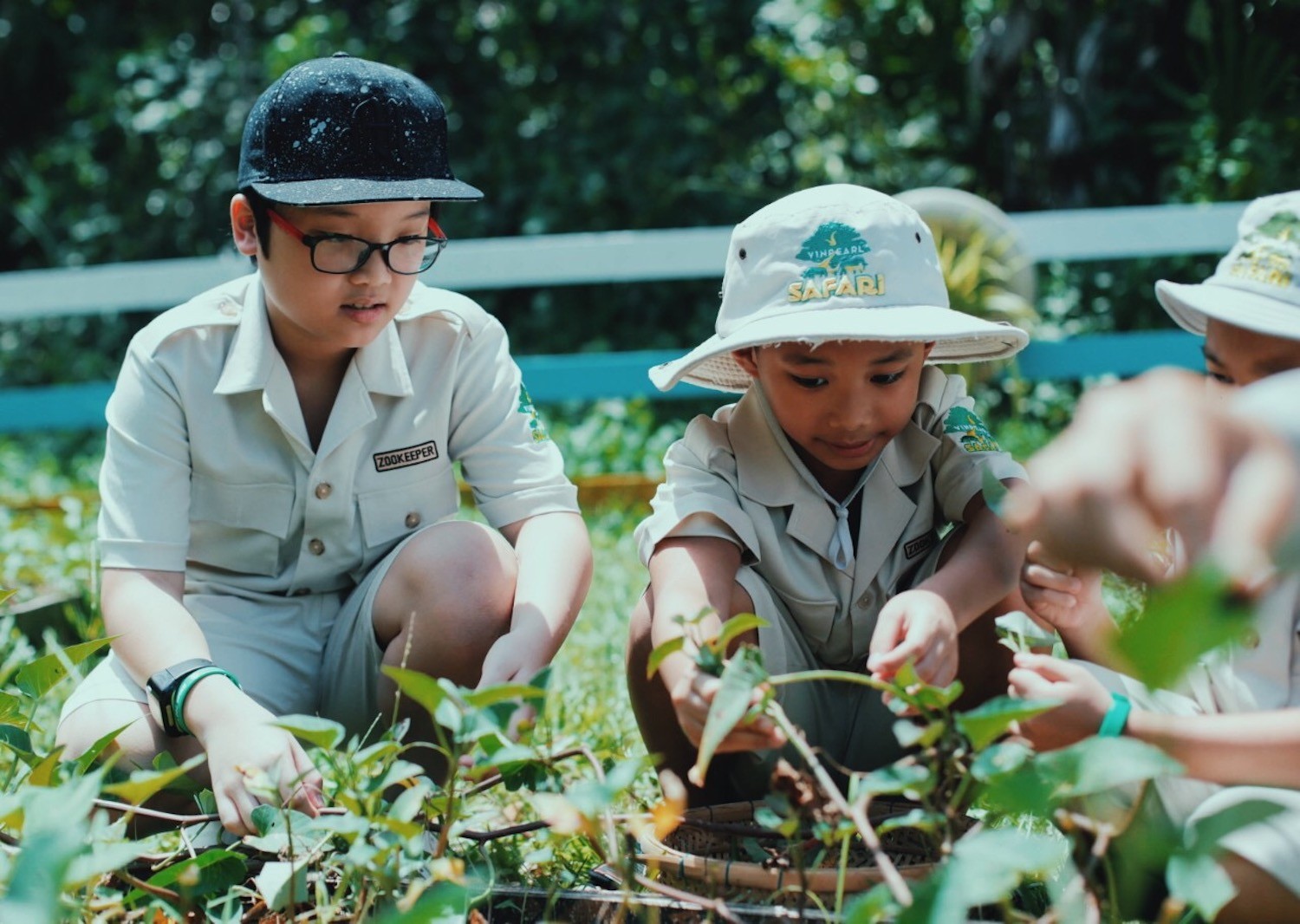 Độc đáo 'bản giao hưởng hoang dã' tại Vinpearl Safari Phú Quốc